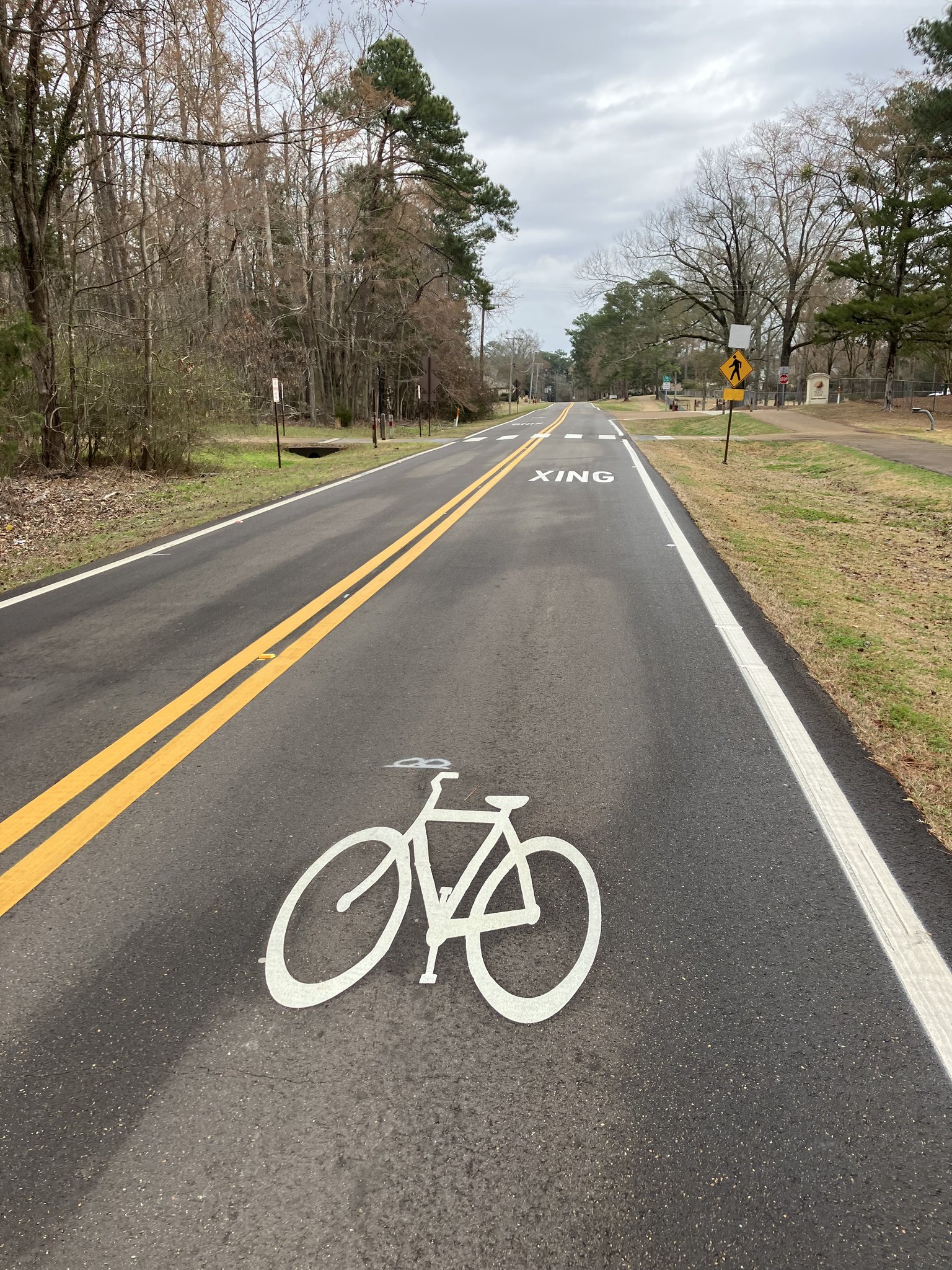 Thermoplastic bicycle lane symbol on road in Ridgeland Mississippi