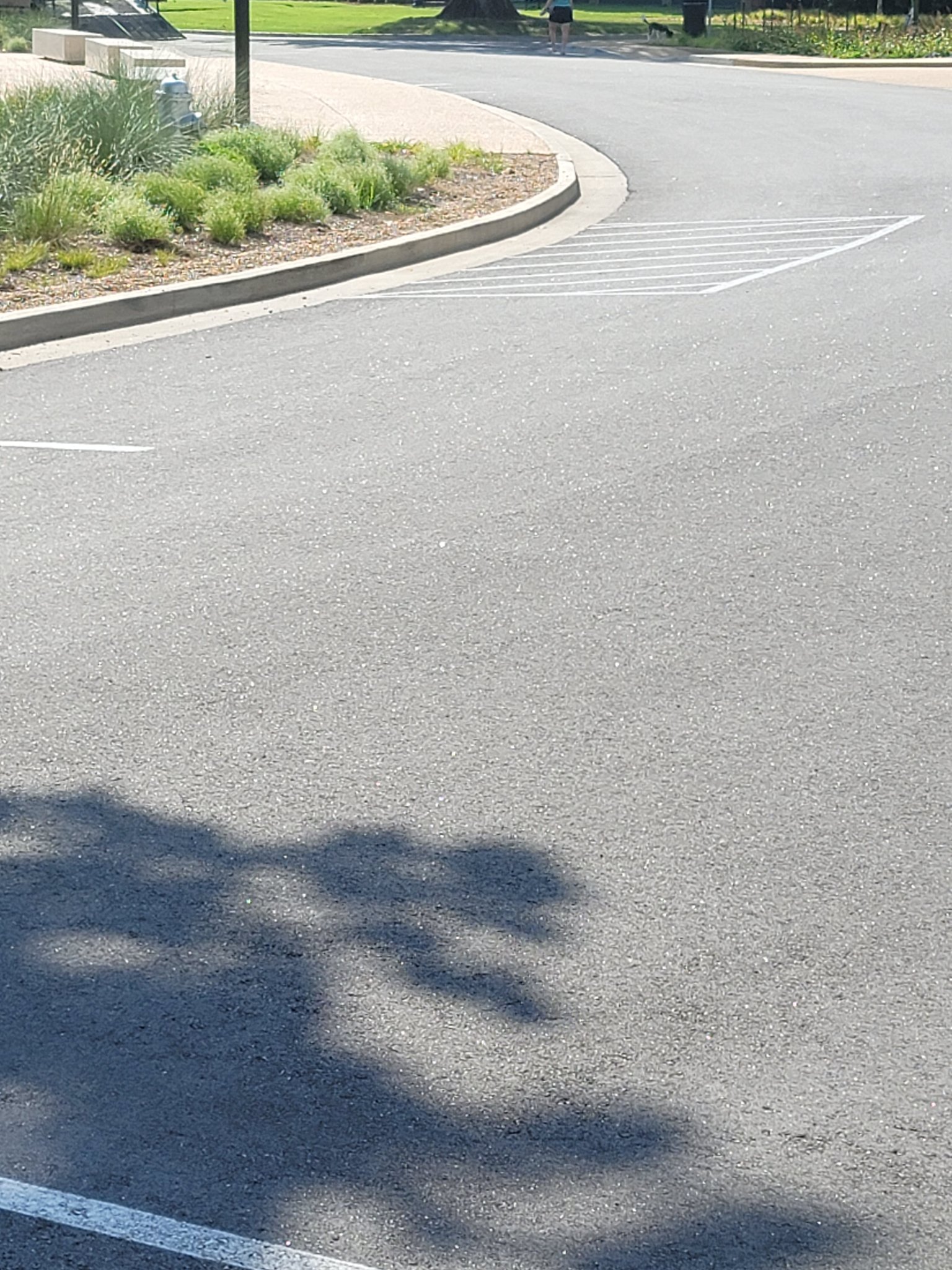 Gray paint parking lot striping at Art Museum - Arkansas